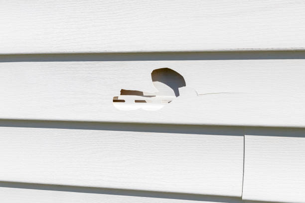 Shed Removal in New Baden, IL